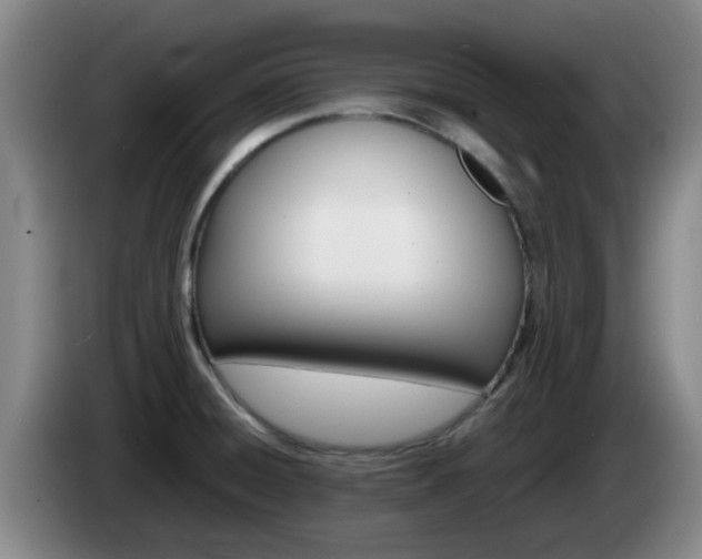 X0000085271428200703090906