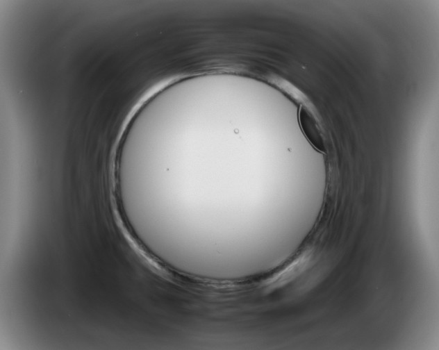 X0000085271431200703090906