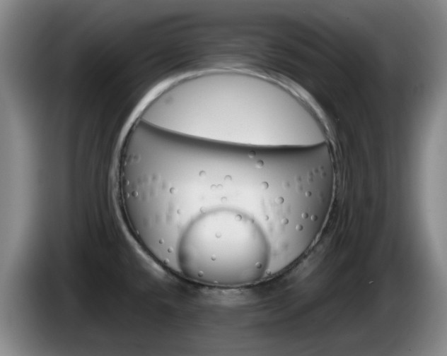 X0000085271432200703090906