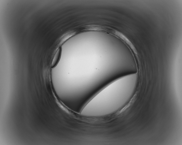 X0000085271433200703090906