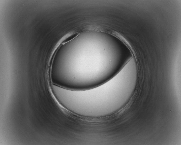 X0000085271434200703090906