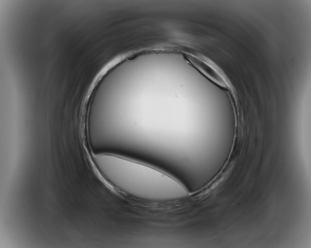 X0000085271437200703090906