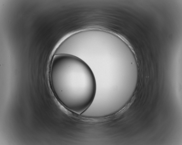 X0000085271438200703090906