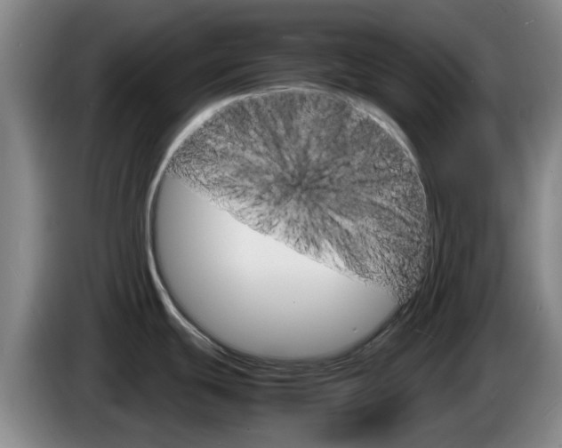 X0000085271439200703090906