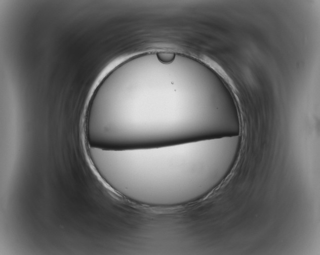 X0000085271440200703090906