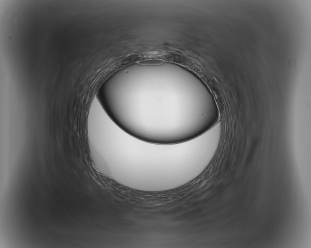 X0000085271441200703090906