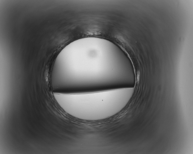 X0000085271444200703090906