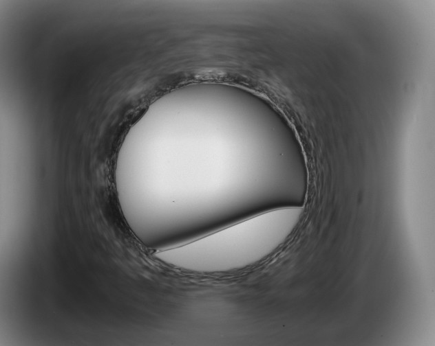 X0000085271445200703090906