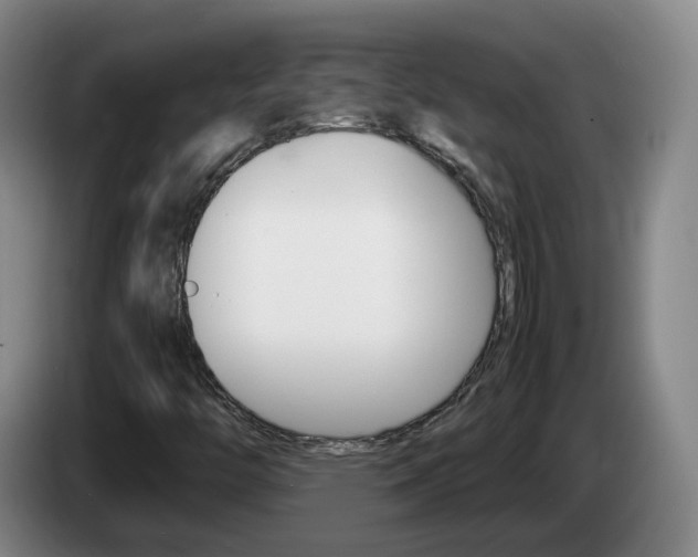 X0000085271446200703090906
