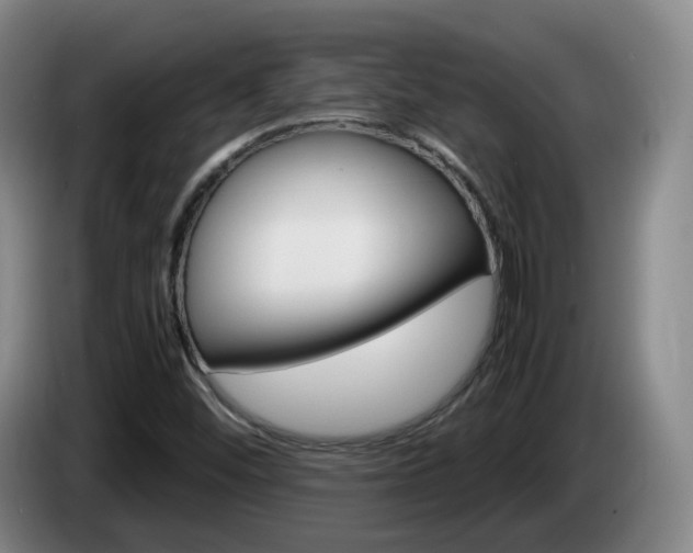 X0000085271452200703090906
