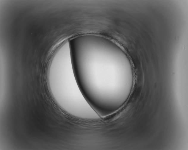 X0000085271453200703090906