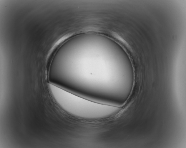 X0000085271461200703090905