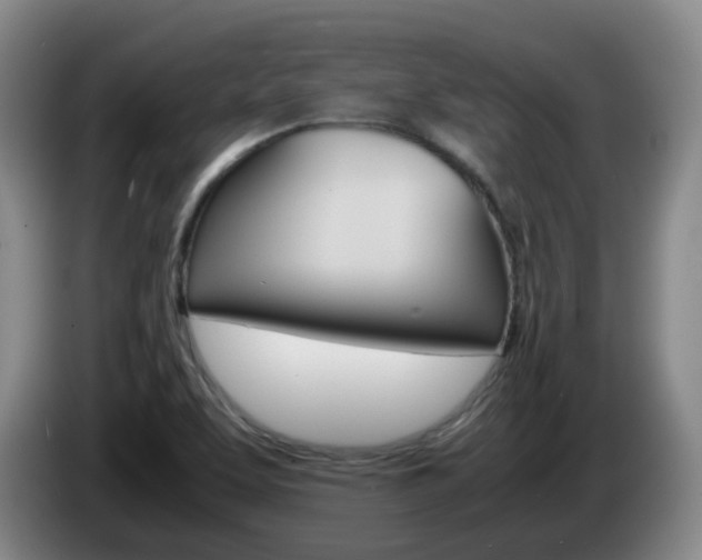 X0000085271463200703090905
