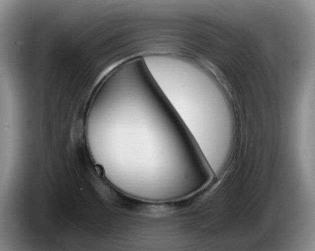 X0000085271465200703090905