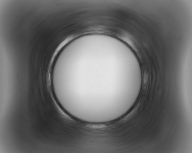 X0000085271466200703090905