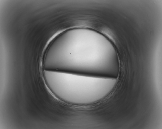 X0000085271468200703090905
