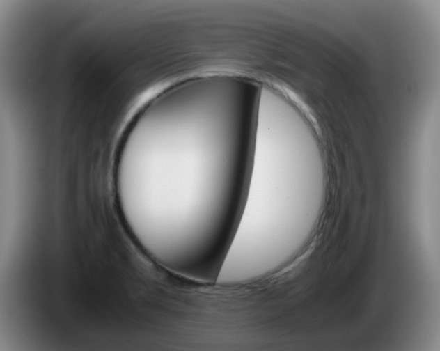 X0000085271469200703090905