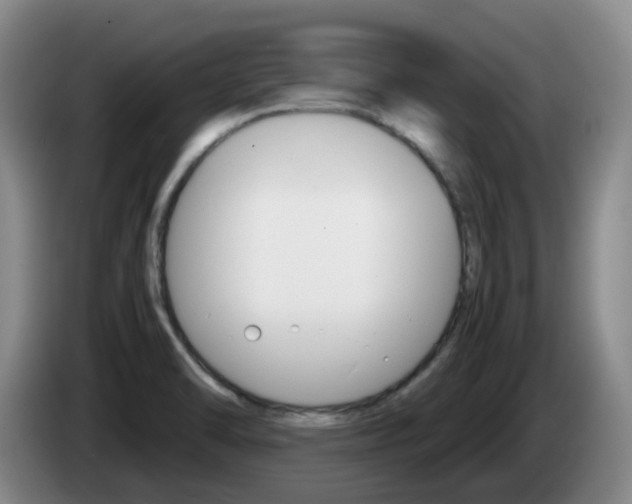 X0000085271470200703090905
