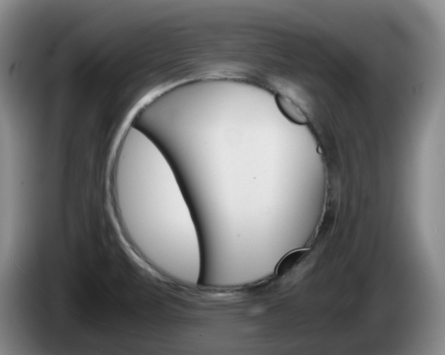 X0000085271471200703090905
