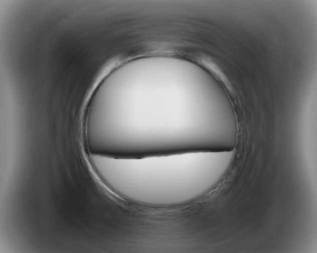 X0000085271475200703090905
