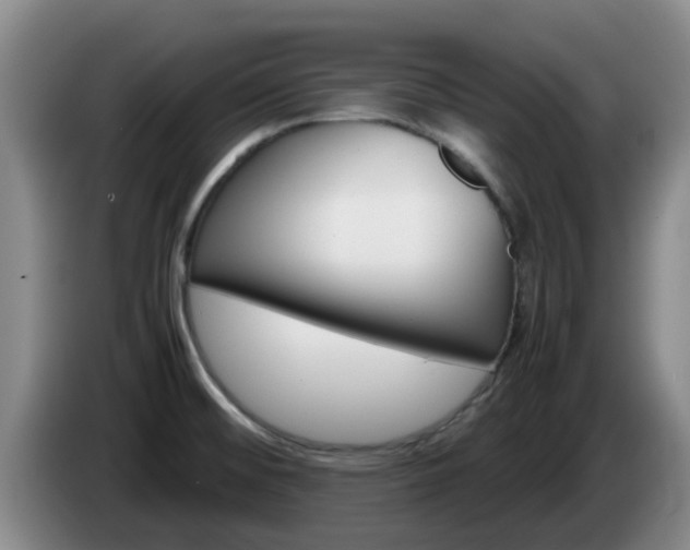 X0000085271476200703090905