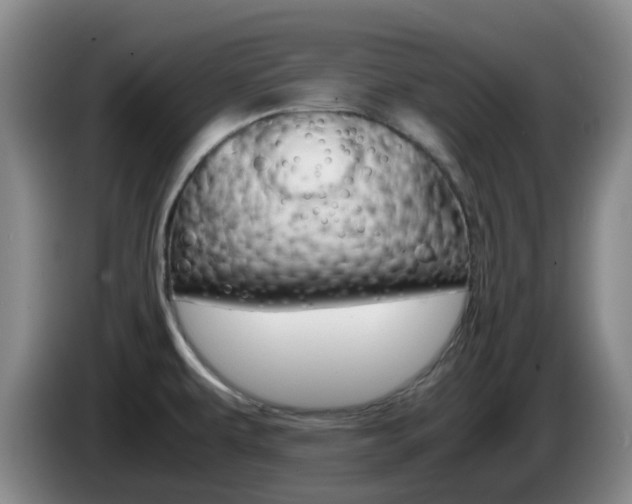 X0000085271479200703090905