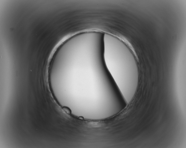 X0000085271480200703090905