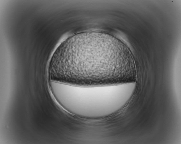 X0000085271483200703090905