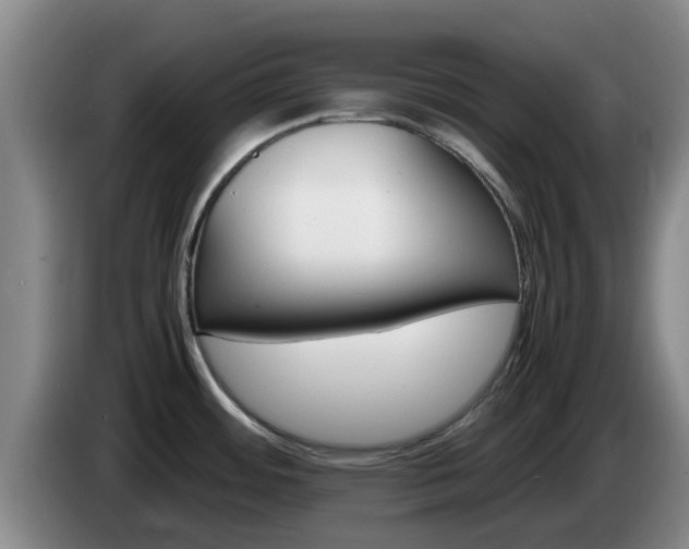 X0000085271484200703090905