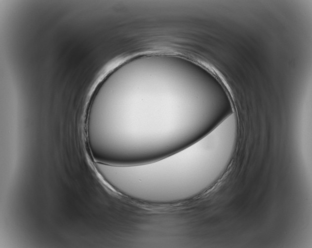 X0000085271485200703090905