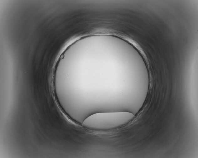 X0000085271486200703090905