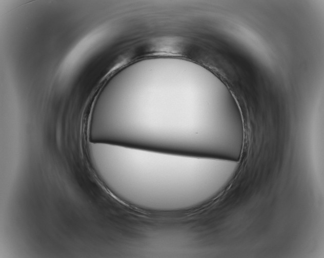 X0000085271487200703090905