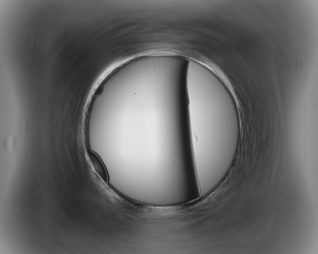 X0000085271488200703090905