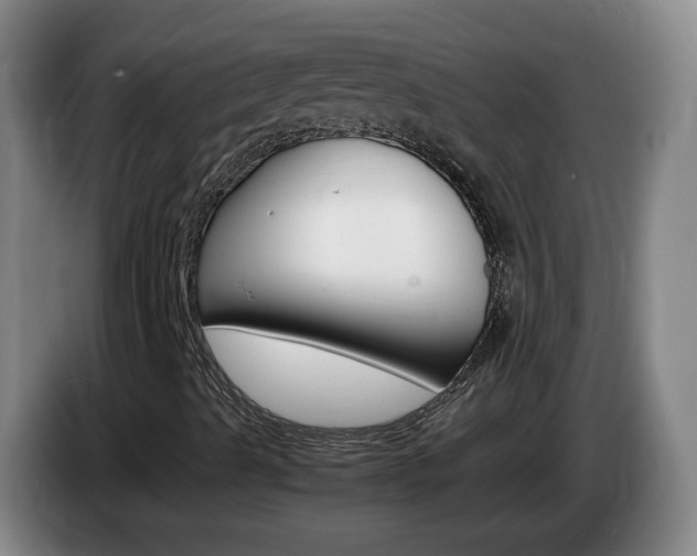 X0000085271489200703090904