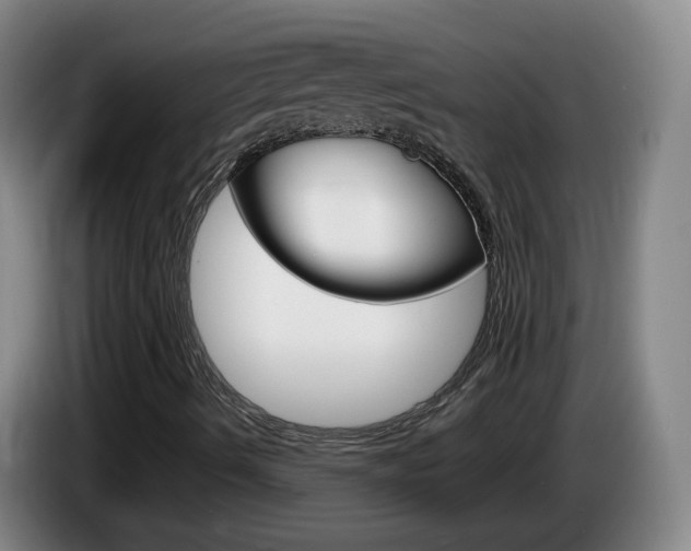X0000085271490200703090904