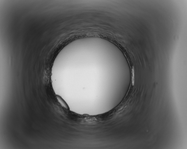 X0000085271491200703090904