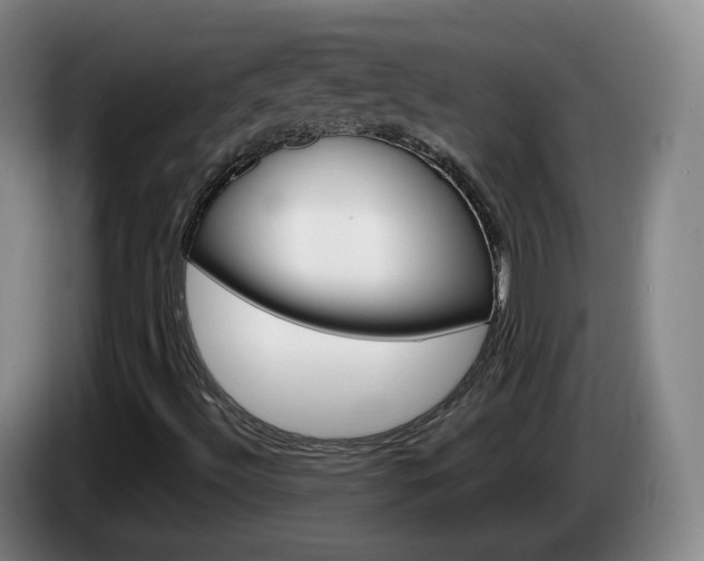X0000085271492200703090904