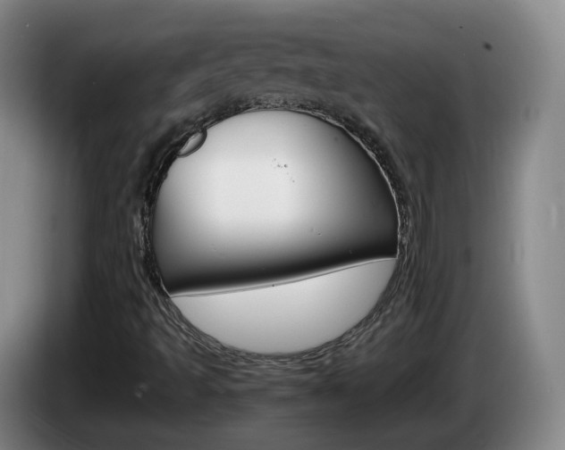 X0000085271493200703090904