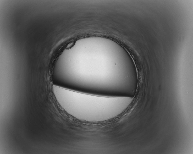 X0000085271494200703090904