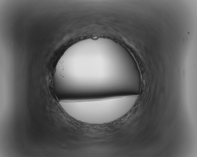 X0000085271495200703090904