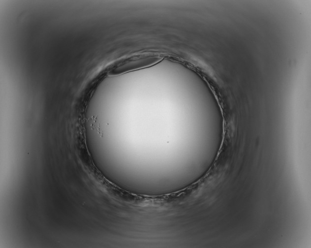 X0000085271496200703090904