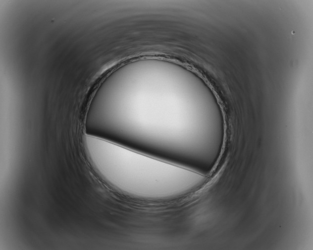 X0000085271497200703090905