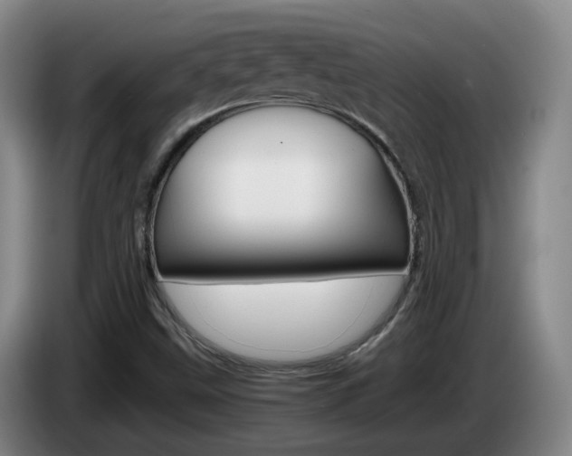 X0000085271499200703090905