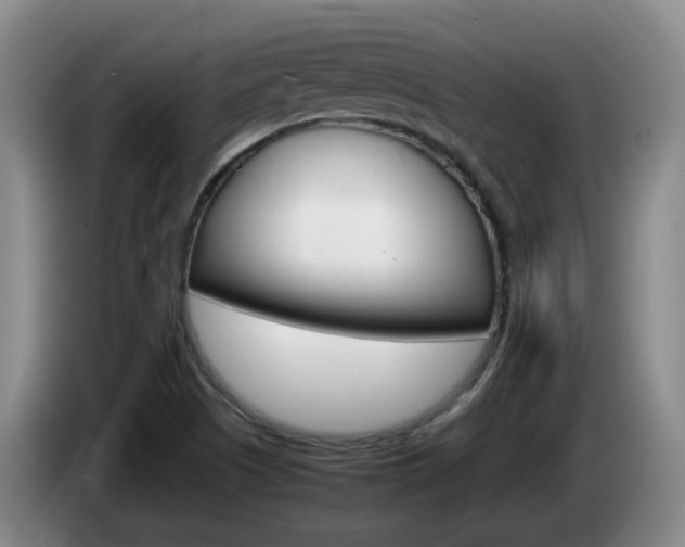 X0000085271505200703090905
