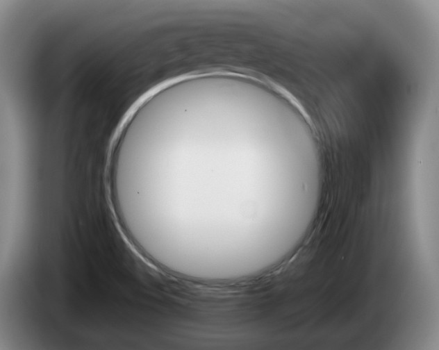 X0000085271508200703090905