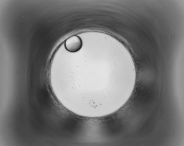 X0000085271514200703090905
