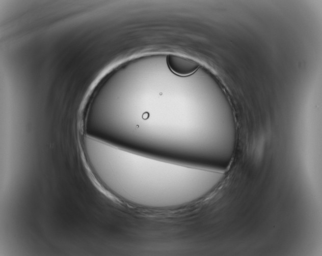 X0000085271519200703090905