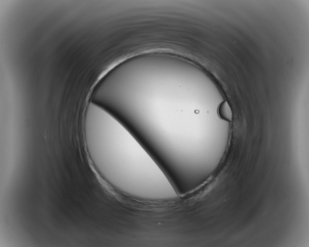 X0000085271521200703090905