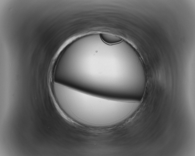 X0000085271523200703090905