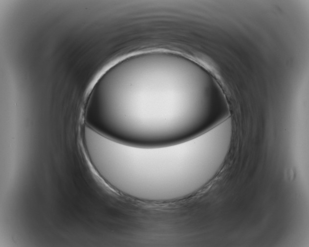X0000085271524200703090905